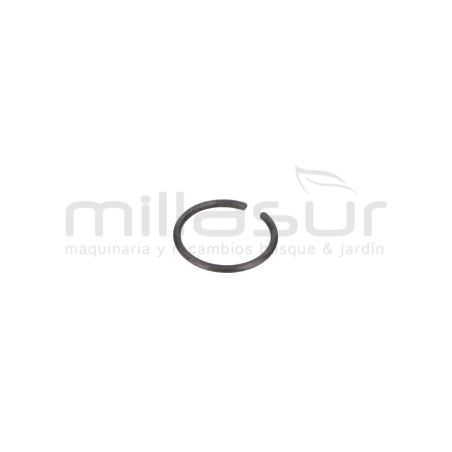 PRESILLA M10 (21) - motoscamaralweb.com