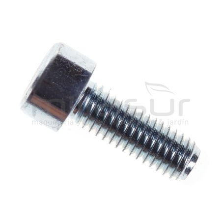 TORNILLO TOMA ADMISION MG3800 (8) - motoscamaralweb.com
