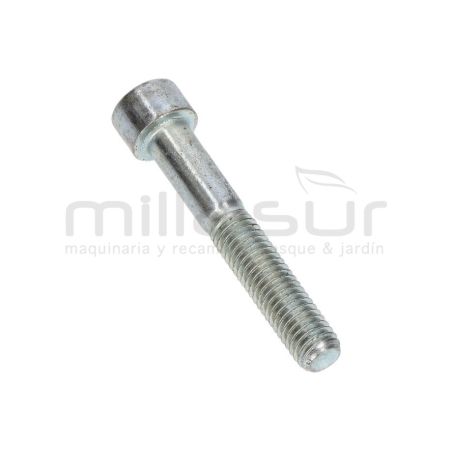 TORNILLO APRIETE CULATA BOMBA P100-187 - motoscamaralweb.com