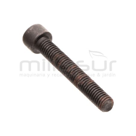 TORNILLO ALLEN M8X45 RLT12VH - motoscamaralweb.com