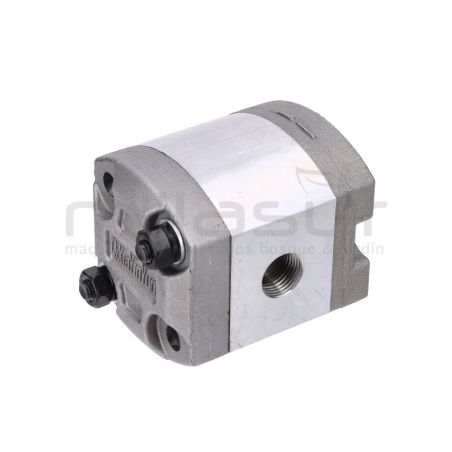 BOMBA RLT15G100 (20) - motoscamaralweb.com