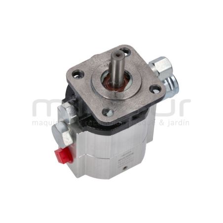 BOMBA RLT22GVH (44) - motoscamaralweb.com