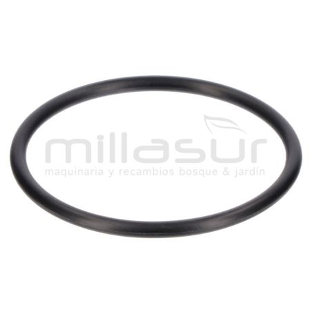 RETEN TORICO 55 x 3.1 RLT6B - motoscamaralweb.com