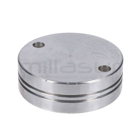 PISTON HIDRAULICO - motoscamaralweb.com