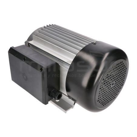 MOTOR ELECTRICO RLT8C - motoscamaralweb.com