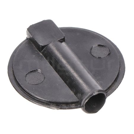 MARIPOSA - motoscamaralweb.com