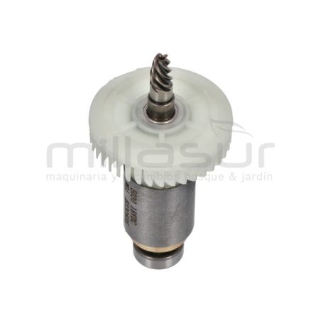 MOTOR PULIDORA (18) TAPLI2001 - motoscamaralweb.com