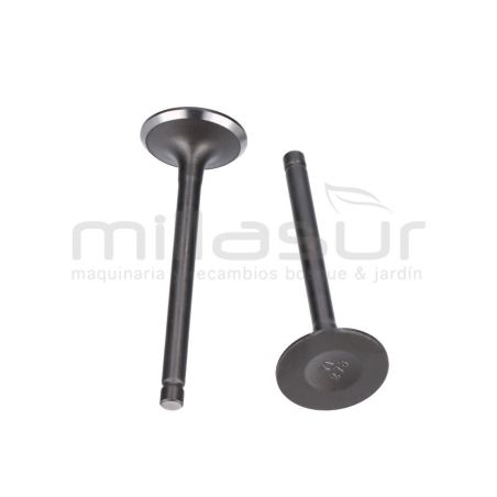 JUEGO VALVULAS TC108LH - LC2P73F- 586CC (6) - motoscamaralweb.com