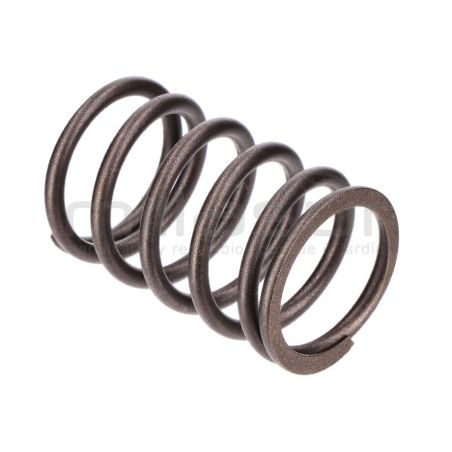 MUELLE VALVULA LC1P85FA (352CC) (8) - motoscamaralweb.com