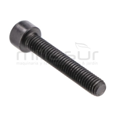 TORNILLO M6X35 TC98S (09 32) - motoscamaralweb.com