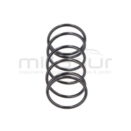 MUELLE TRIMER TE450 (118) - motoscamaralweb.com