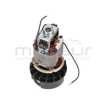 MOTOR ELECTRICO TE450 (114) - motoscamaralweb.com