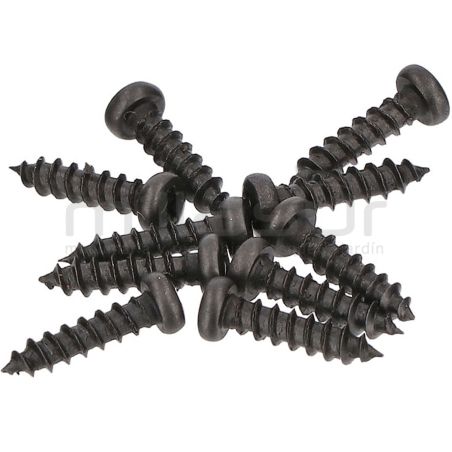 JUEGO DE 10 TORNILLOS AMARRE CARCASAS TPB2202 (34) - motoscamaralweb.com