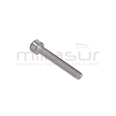 TORNILLO TAPA LATERAL PEQUEÑA M3X40 TPB4501 (42) - motoscamaralweb.com
