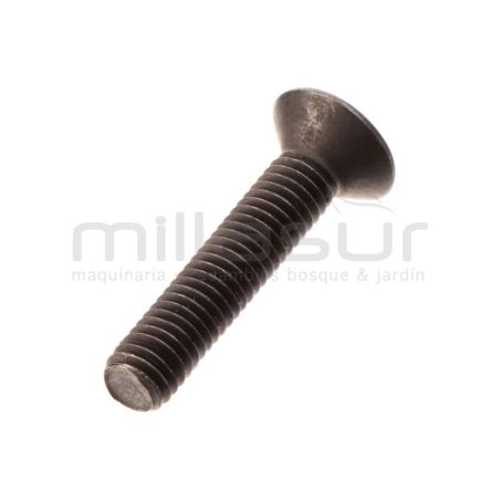 TORNILLO SUJECION SOPORTE REDUCTORA TPB4506 (26) - motoscamaralweb.com