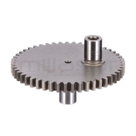 PIÑON EXCENTRICO (14) - motoscamaralweb.com