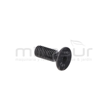 TORNILLO TAPA MOTOR M5X14 (2) - motoscamaralweb.com