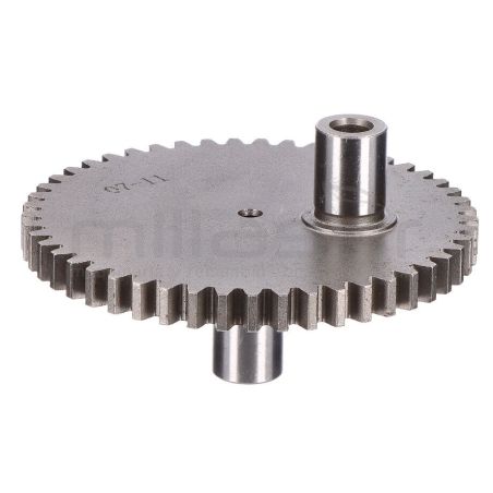 PIÑON EXCENTRICO (8) - motoscamaralweb.com