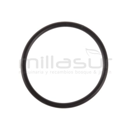 JUNTA TORICA BASE MOTOR 5.34X57 VAR600 (18) - motoscamaralweb.com