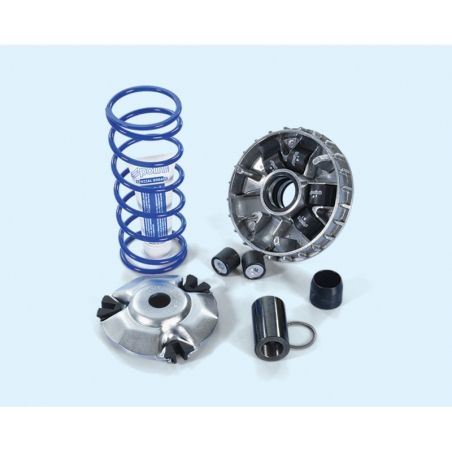 Variador POLINI - motoscamaralweb.com