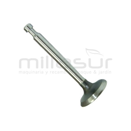 VÁLVULA ESCAPE HONDA GX140/160 - motoscamaralweb.com