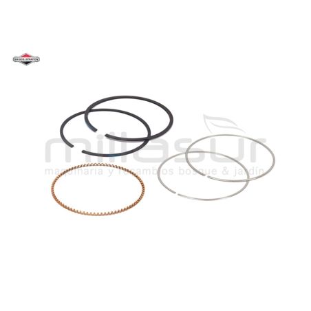 JUEGO DE AROS (DTF) - motoscamaralweb.com