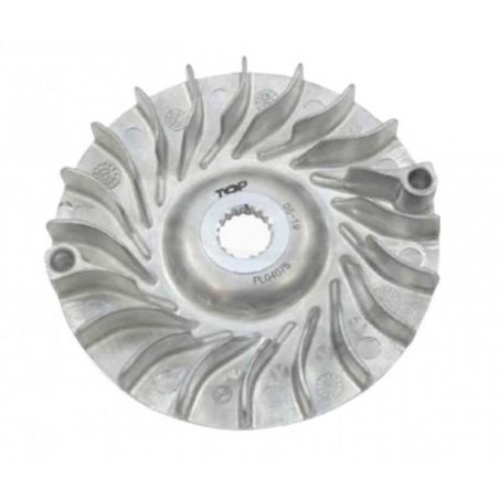 Semipolea fija TOP PERFORMANCES MINARELLI/YAMAHA YP 250/270cc X-Max 250cc - motoscamaralweb.com