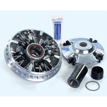 Variador POLINI - motoscamaralweb.com