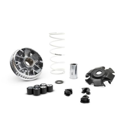 Variador MALOSSI Multivar 2000 - motoscamaralweb.com