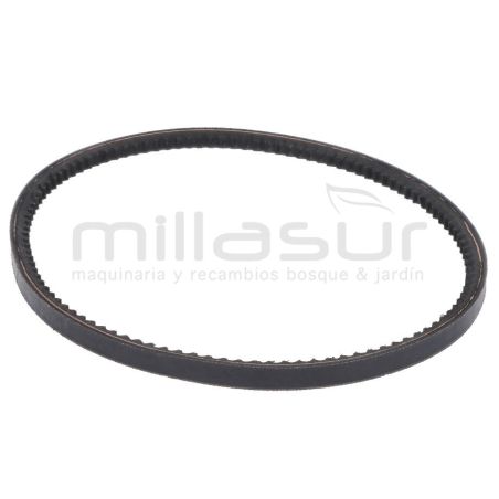 CORREA MC360 (12) - motoscamaralweb.com