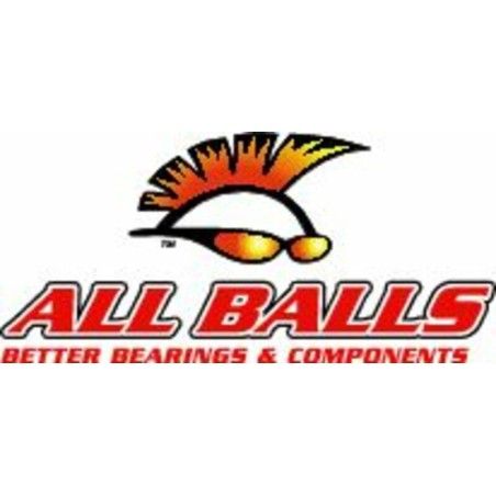 Kit de rodamientos diferencial ALL BALLS 25-2066-5 - motoscamaralweb.com
