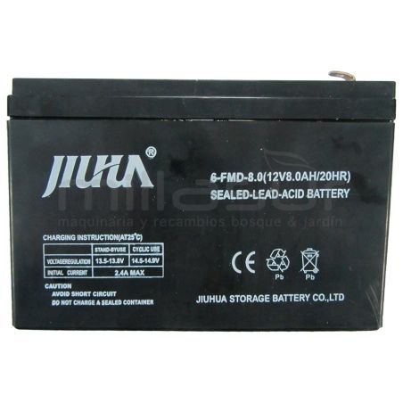 BATERÍA P18B - motoscamaralweb.com