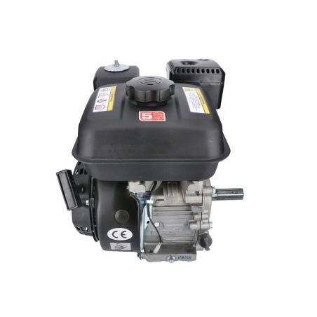 MOTOR HORIZONTAL 8HP 4.6kW 223cc - DM600 - motoscamaralweb.com