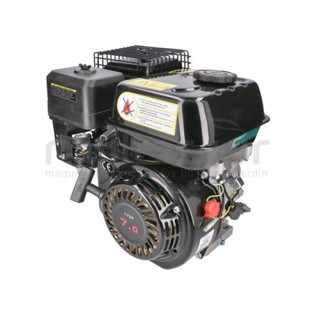 MOTOR COMPLETO 7CV RLT12GVH (49). BIO70 (24) - motoscamaralweb.com