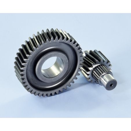 Desarrollo engranaje secundario POLINI - Z16-42 - motoscamaralweb.com