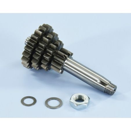 Desarrollo engranaje primario POLINI - Z14/10/17/20 - motoscamaralweb.com