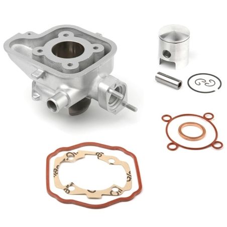 Cilindro de aluminio AIRSAL 49.2cc Ludix agua (02025440) - motoscamaralweb.com