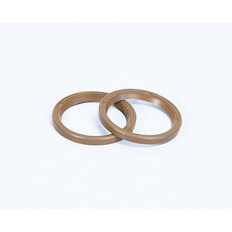 RETENES Variador Polini MAXI SCOOT.D.31 (242037) - motoscamaralweb.com