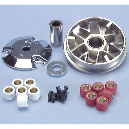 Variador Polini MALAGUTI F12 (2000) (241361) - motoscamaralweb.com