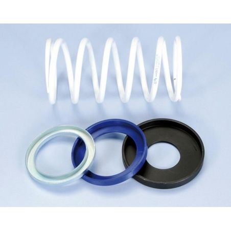 Muelle de contraste POLINI EVO-SLIDER T-MAX500 (243098) - motoscamaralweb.com