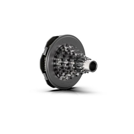 Conjunto de árbol múltiple con empalmes flexibles MALOSSI - motoscamaralweb.com