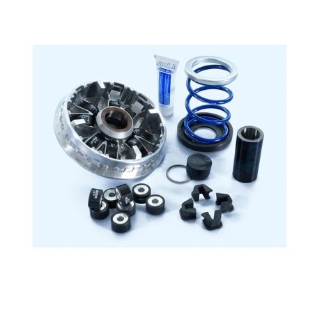 Variador POLINI - motoscamaralweb.com