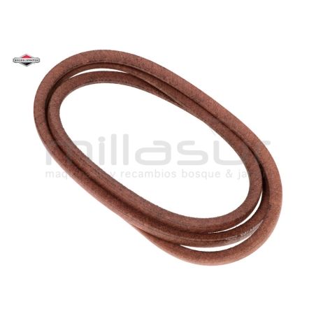 CORREA-V-38 84.24 - motoscamaralweb.com