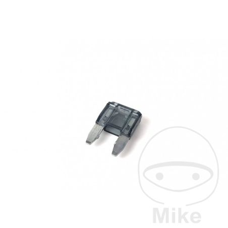 Fusible Mini 1A Negro Scottoiler | Motos Camaral