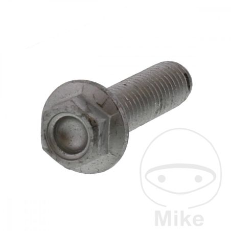 Tornillo Corona Moto OEM M8x1.25x30 | Rec. Original | Motos Camaral