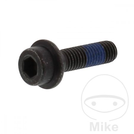 Tornillo Disco Freno OEM M8x1.25x30mm | Rec. Original | Motos Camaral