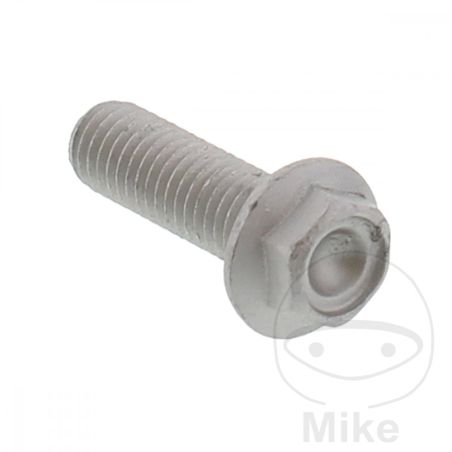 Tornillo Corona M8x1.25x25 OEM | Recambio Original | Motos Camaral