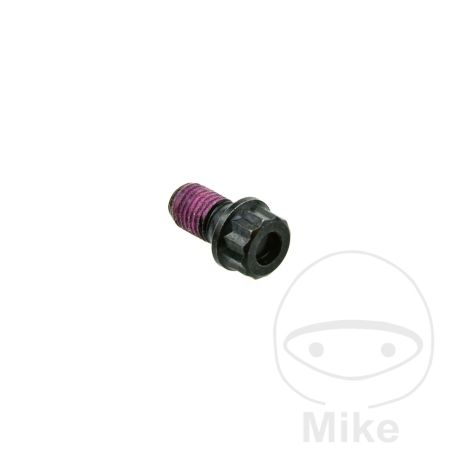 Tornillo Cardán M8X1X21MM | Recambio Transmisión | Motos Camaral