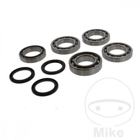 Kit Rodamientos Diferencial All Balls para Polaris RZR 800 | Motos Camaral