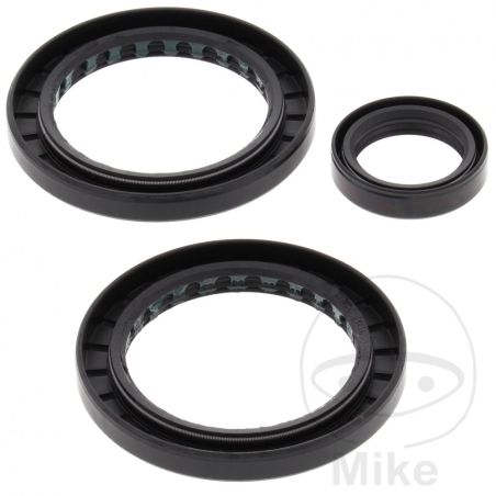 Kit Rodamiento Diferencial Trasero All Balls | Motos Camaral